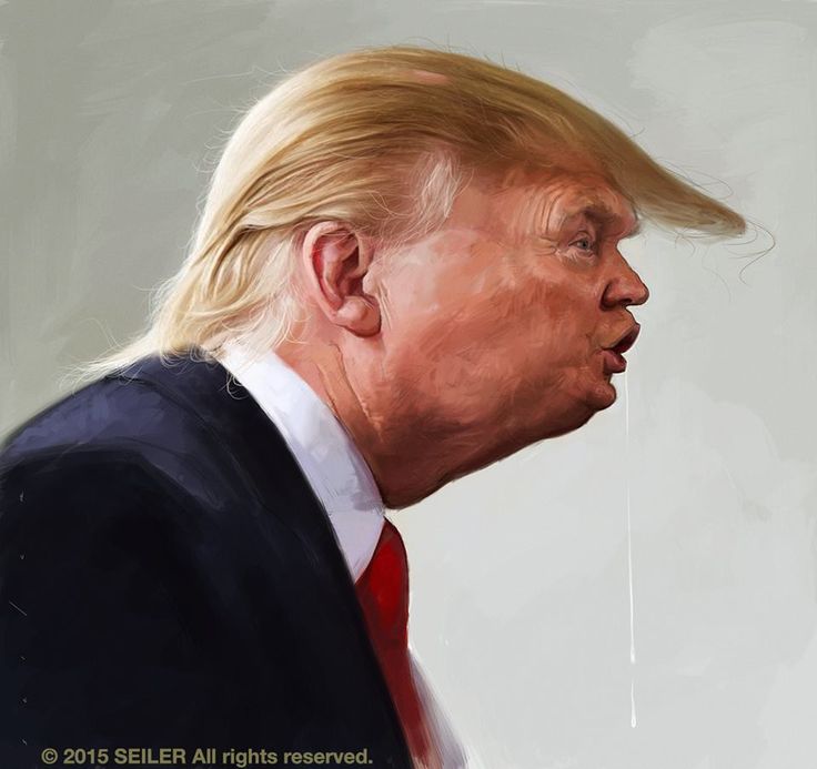 trump.hair2