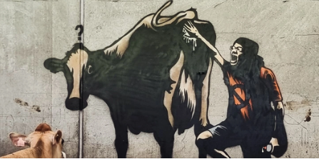 Herikstad gård uden for Bryne på Jæren har fået et nyt kunstværk i liggebåsen. «Blame the cows, save the planet», er budskabet fra kunstneren Pøbel. Baggrunden er en voksende oprør mod bruken af tislkuddet Bovaer for at reducere udledningen af metan fra storfe. Foto: Pøbel/ Facebook
